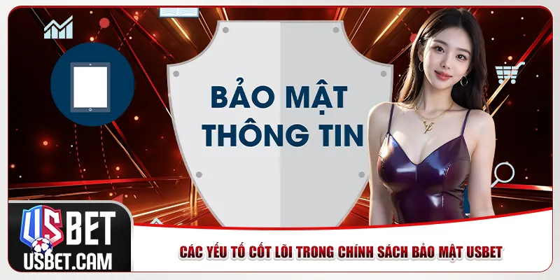 Các yếu tố cốt lõi trong chính sách bảo mật Usbet